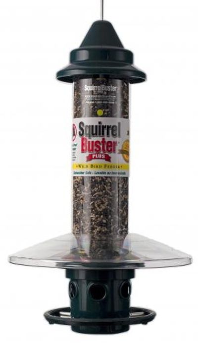 BROME  Clear Weather Guard to Fit on the Squirrel Buster Plus Feeder