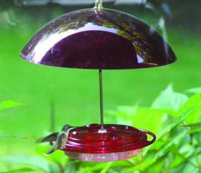 Hummerfest Hummingbird Feeder-8 oz. w/ Red Dome - Birds Choice