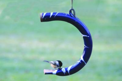 Curved Handcrafted Clay Feeder -Blue & White