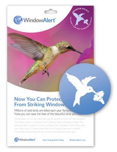 WindowAlert Hummingbird Decals (Pack of 4)