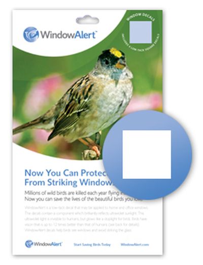 WindowAlert Square Decals (Pack of 4)
