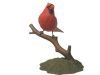 Northern Cardinal Carving - Male