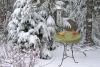 Heated Bird Bath-Pedestal -Green | Birds Choice #HPED-GR