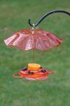 Translucent Oriole Feeder with Orange Weather Guard | Birds Choice #NP1012