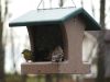 1-1/2 Qt. Hopper  Wild Bird Feeder ? Green Roof | Birds Choice #SN100