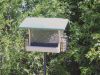7 Quart 2- Sided Hopper Wild Bird Feeder with 2 Suet Cages - Green Roof | Birds Choice SN300-S