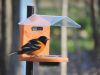 Pole-Mounted Jelly Feeder w/Roof | Birds Choice #SNJF