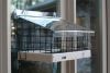 Recycled 22" x 9" Platform, Top & Cage Kit Feeder | Birds Choice #SNWMLGKIT