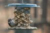 Whole Peanut in the Shell Metal Feeder | Birds Choice #XWPF