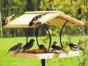 Wrought Iron & Cedar Fly-Thru Platform Bird Feeder 23 x 16 by Birds Choice