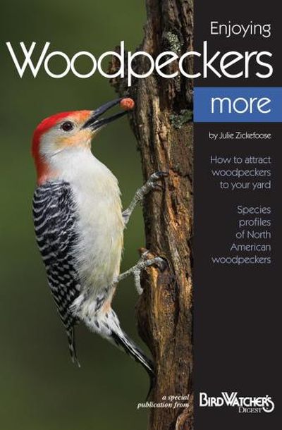 Enjoying Woodpeckers More